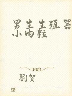 男生生殖器官长小肉粒