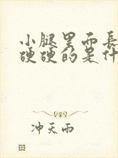 小腿里面长疙瘩硬硬的是什么原因