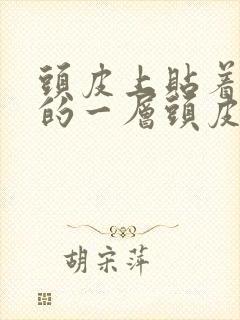 头皮上贴着白白的一层头皮屑