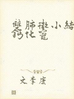 双肺微小结节及钙化灶