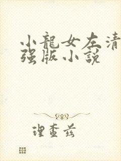 小龙女左清剑加强版小说