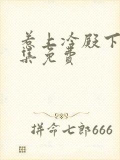 惹上冷殿下30集免费