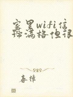 家里wifi信号满格但很卡