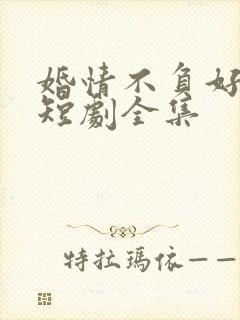 婚情不负好春光短剧全集