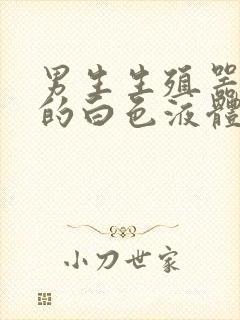 男生生殖器流出的白色液体是什么