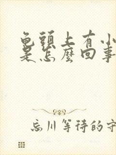 龟头上有小红斑是怎么回事封面