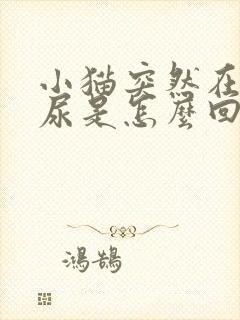 小猫突然在地上尿是怎么回事