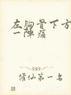 左胸骨下方一阵一阵痛