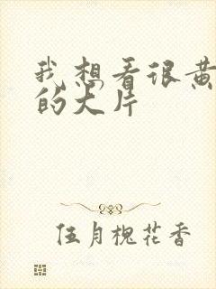 我想看很黄很色的大片