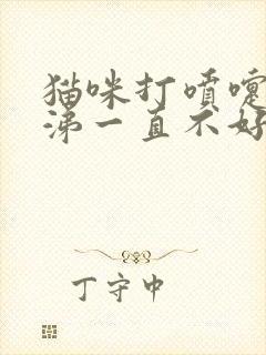 猫咪打喷嚏流鼻涕一直不好怎么办封面