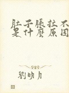 肚子胀拉不出尿是什么原因