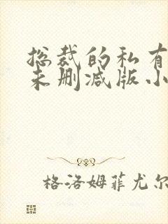 总裁的私有宝贝未删减版小说