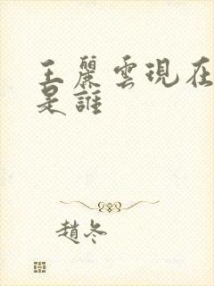 王丽云现在丈夫是谁