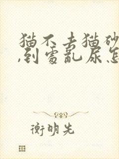 猫不去猫砂盆尿,到处乱尿怎么解决