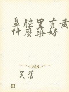 鼻腔里有黄痰吃什么药好