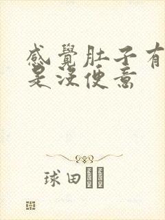 感觉肚子有屎但是没便意