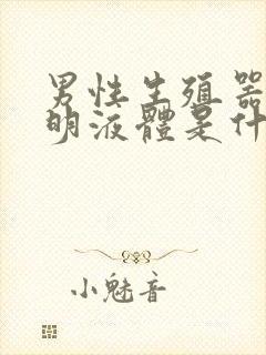 男性生殖器流透明液体是什么原因