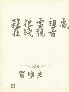 杀狼电视剧全集在线观看封面