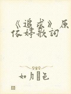 《追求》原唱卓依婷歌词