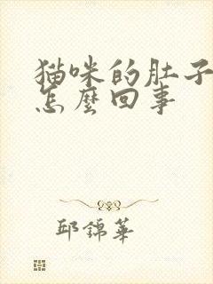 猫咪的肚子大是怎么回事封面