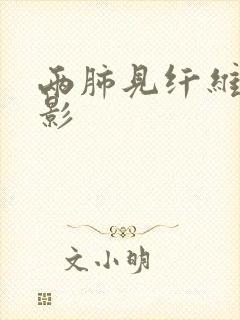 两肺见纤维条索影