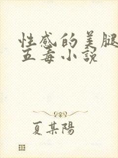 性感的美腿女神五毒小说