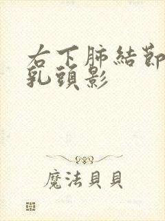 右下肺结节影 乳头影封面