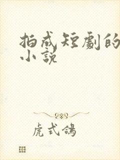 拍成短剧的原著小说