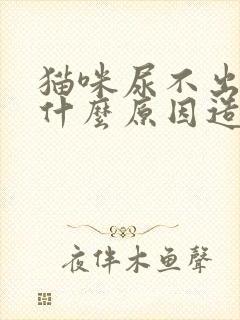 猫咪尿不出来是什么原因造成的封面