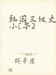 韩国三级大胸的小[子2封面
