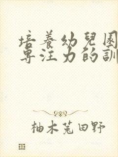 培养幼儿园孩子专注力的训练方法