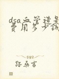 dsa血管造影费用多少钱封面