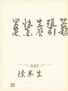 男性生殖器异味是怎么引起的