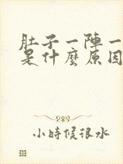 肚子一阵一阵痛是什么原因