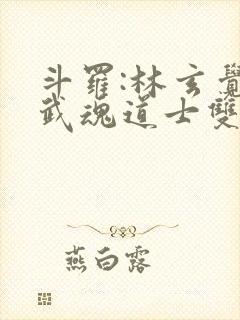 斗罗:林玄觉醒武魂道士双生小说封面