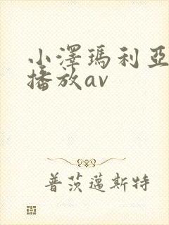 小泽玛利亚在线播放av