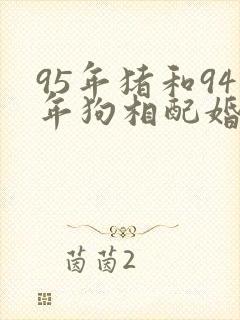 95年猪和94年狗相配婚姻如何