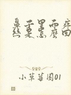 鼻子里面疼有血丝是怎么回事封面