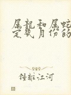 属龙和属蛇结婚定几月份的好