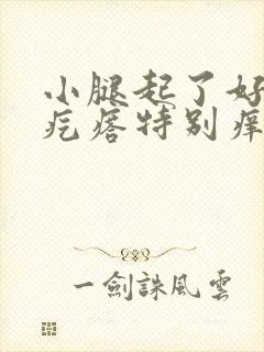 小腿起了好多小疙瘩特别痒封面