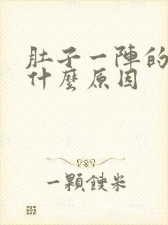 肚子一阵的痛是什么原因