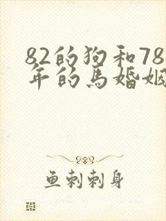 82的狗和78年的马婚姻如何