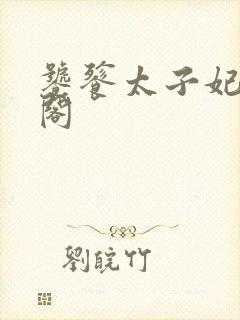 饕餮太子妃笔趣阁封面