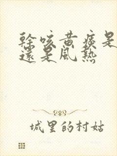 干咳黄痰是风寒还是风热