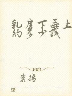 乳房下垂上提大约多少钱