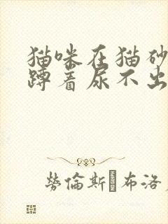 猫咪在猫砂盆里蹲着尿不出来