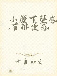 小腹下坠感胀痛,有排便感封面