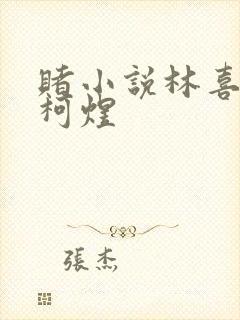 赌小说林喜朝和柯煜