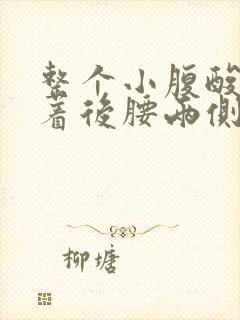 整个小腹酸胀连着后腰两侧封面