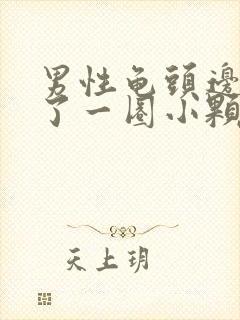 男性龟头边缘长了一圈小颗粒